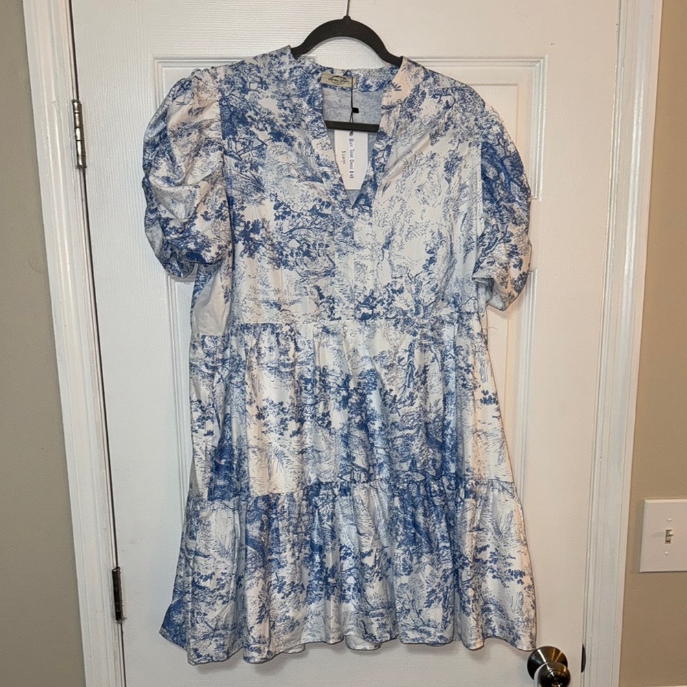 Zara Blue and White Floral Mini Dress